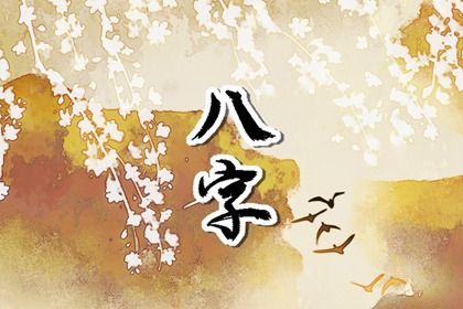 数字化排盘时代