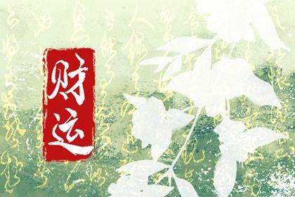 四柱结构：年月日时的分工